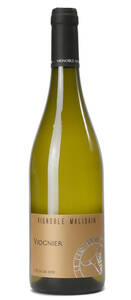 Viognier élevé en cuve ovoïde - Blanc - 2021 - VIGNOBLE MALIDAIN