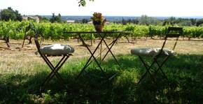Le Rocher des Dames(Vallée du Rhône) : Visite & Dégustation Vin