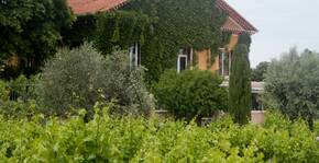 Domaine Grand Père Jules(Vallée du Rhône) : Visite & Dégustation Vin