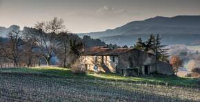 Domaine de la Mongestine(Provence) : Visite & Dégustation Vin