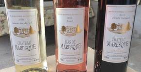 Château Maresque(Sud-Ouest) : Visite & Dégustation Vin