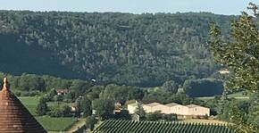 Vignobles Pelvillain                                                                                               (Sud-Ouest) : Visite & Dégustation Vin