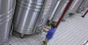 cuverie du domaine, cuves en inox, vigneron dans sa cave