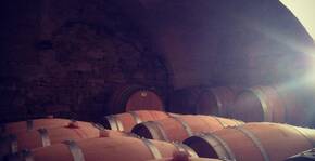 Domaine Guinand(Languedoc) : Visite & Dégustation Vin
