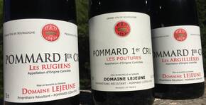 Domaine Lejeune(Bourgogne) : Visite & Dégustation Vin