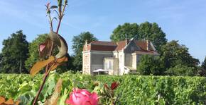 Château Cantenac(Bordeaux) : Visite & Dégustation Vin