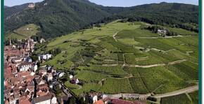 Domaine Ostermann André et Fils(Alsace) : Visite & Dégustation Vin