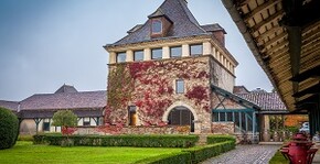 Châteaux Montus et Bouscassé(Sud-Ouest) : Visite & Dégustation Vin