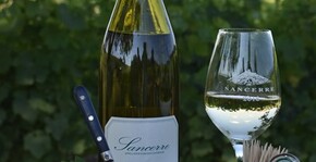 Domaine Vincent Grall(Loire) : Visite & Dégustation Vin