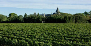 Château de la Tuilerie(Vallée du Rhône) : Visite & Dégustation Vin