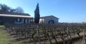 Château Piada(Bordeaux) : Visite & Dégustation Vin