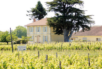 Château Peyruchet - Le vignoble et le château