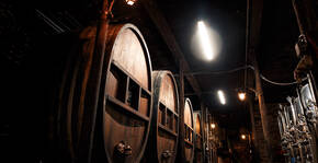 DOMAINE BOTT FRERES(Alsace) : Visite & Dégustation Vin