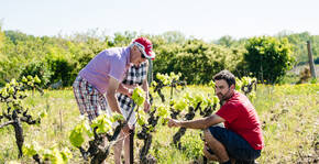 Domaine Rouge-Bleu(Vallée du Rhône) : Visite & Dégustation Vin