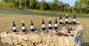 Château Marchand Bellevue(Bordeaux) : Visite & Dégustation Vin