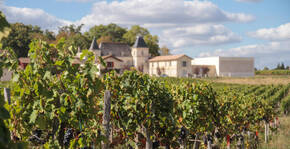 Vignobles Moncets & Chambrun(Bordeaux) : Visite & Dégustation Vin