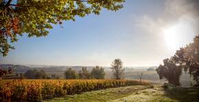 Domaines Bernard Moueix(Bordeaux) : Visite & Dégustation Vin