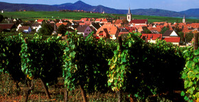 Belle vue du village de Beblenheim depuis les vignes du domaine Bott Geyl