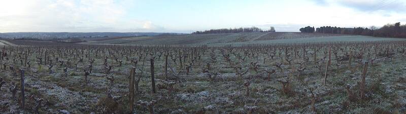 Domaine de la Piffaudière