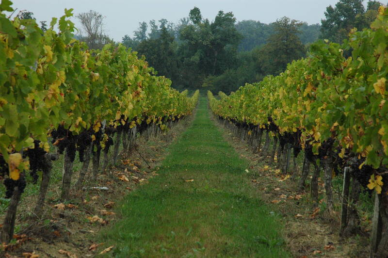 Château la Levrette