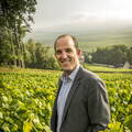 Florent Roques Boizel - Champagne Boizel