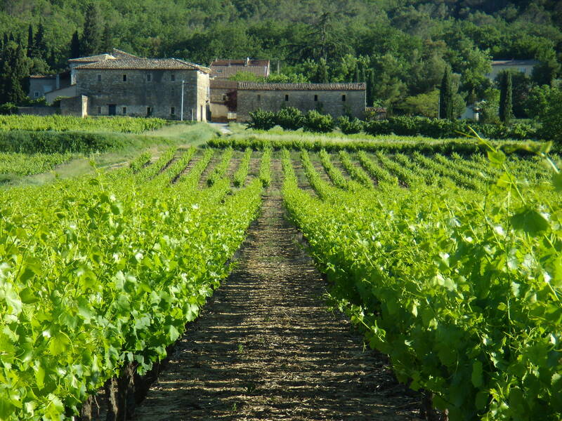 Château Saint Nabor