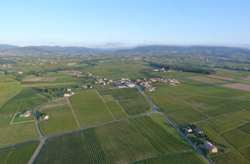 Domaine Christophe et Daniel Rampon