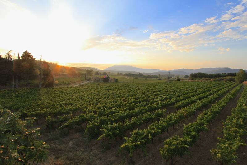 Domaine Ferme des Arnaud