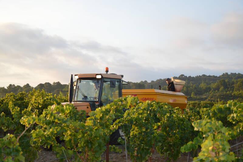 Domaine La Bouysse