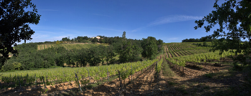 Domaine de Coste Chaude