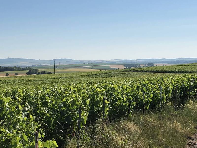 Champagne Beurton Couvreur