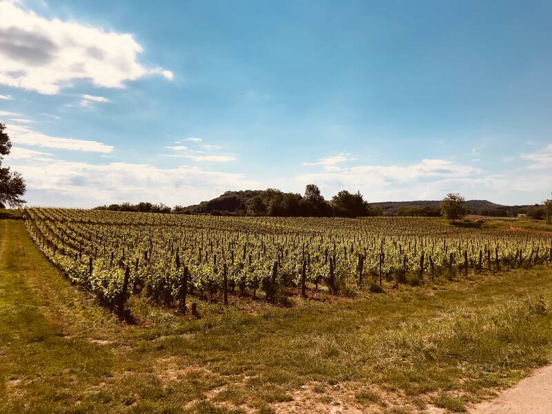 Domaine Bourdy