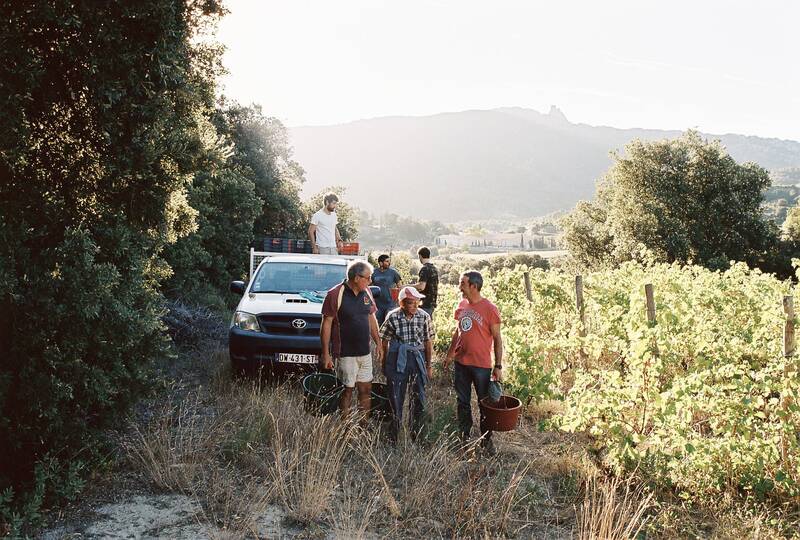 Domaine Odyssée - Vincent Carreras