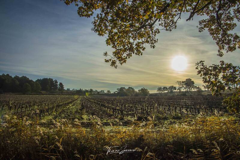 DOMAINE DE CANTALAUZE