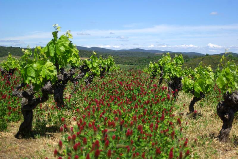 Domaine Prés-Lasses