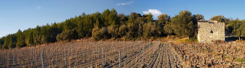 Domaine Rière Cadène