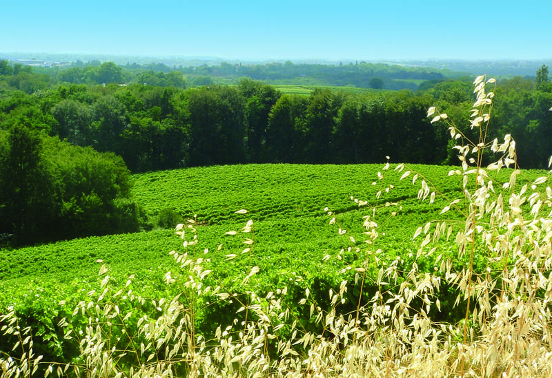 Domaine de Joÿ