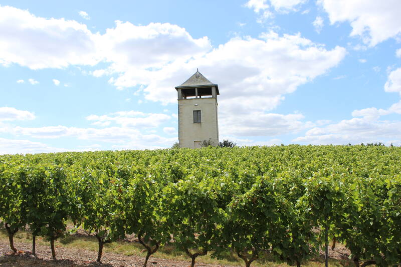 Domaine des Coteaux Blancs