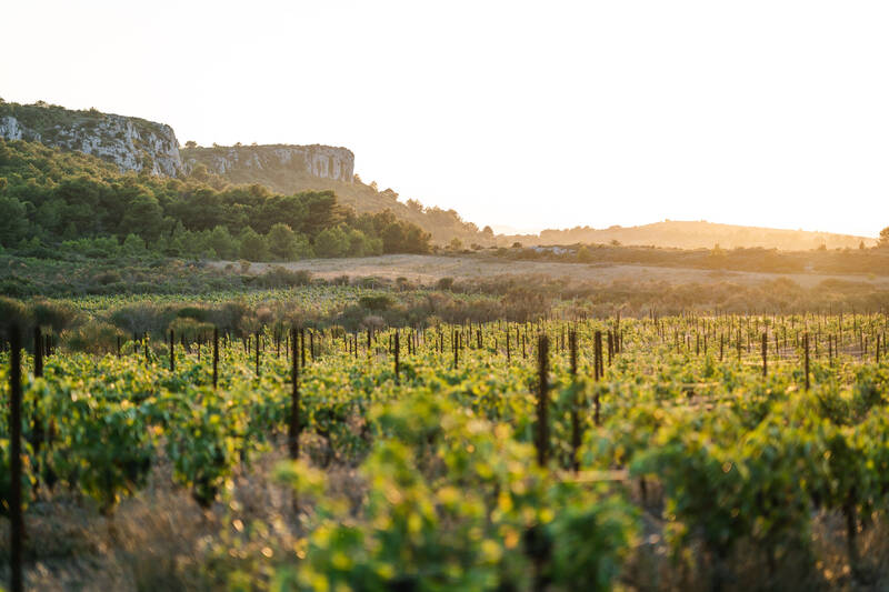 Château Pech Redon