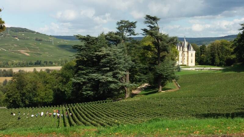 Champagne Château de Boursault