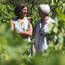 Domaine du Clos d'Alari(Provence-Alpes-Côte d'Azur) : Visite & Dégustation Vin