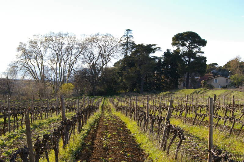 Château Montpezat