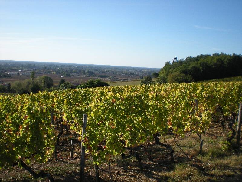 Domaine de Peytoupin