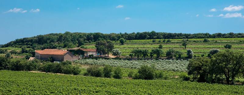 Domaine Daurion