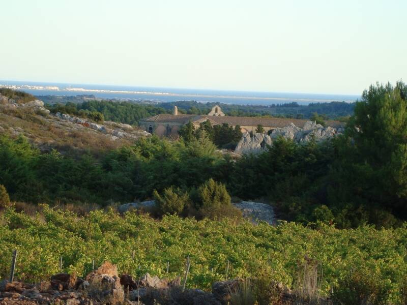 Abbaye de Valmagne 