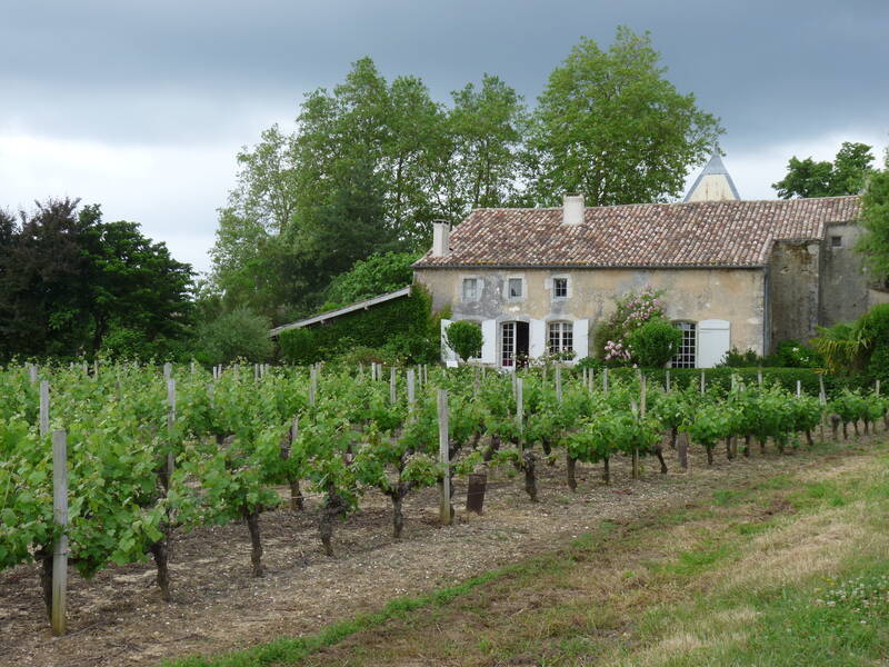 Chateau Tour Marcillanet