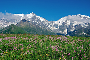 Région de la Savoie et des Hautes-Alpes
